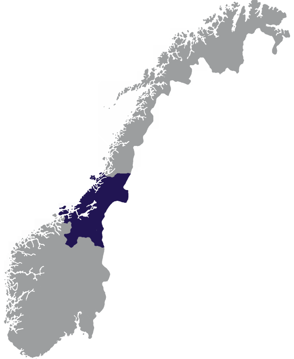 Landkaart Noorwegen grijs met provincie Trøndelag donkerblauw op transparante achtergrond - 600 * 733 pixels